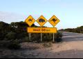 Tips For Driving In Australia - MyDriveHoliday